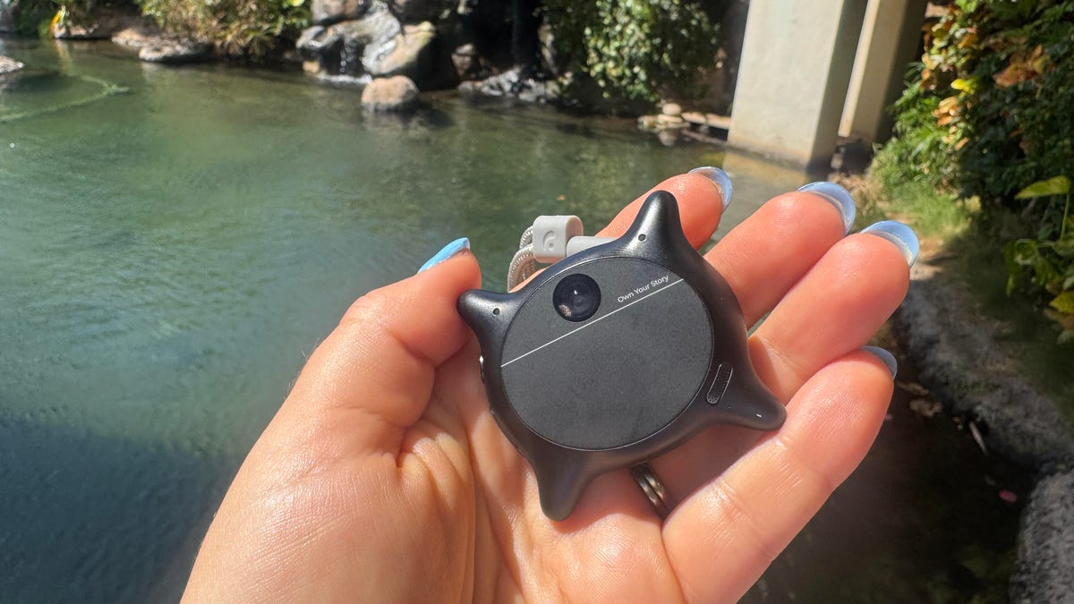 Cutest AI Ever? This Wearable Kitten-Shaped Camera Won Me Over