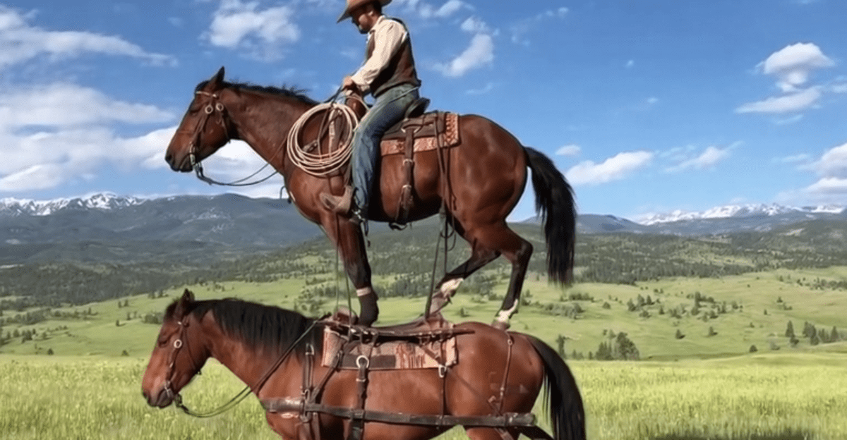 Sora provides better control over videos featuring your AI self