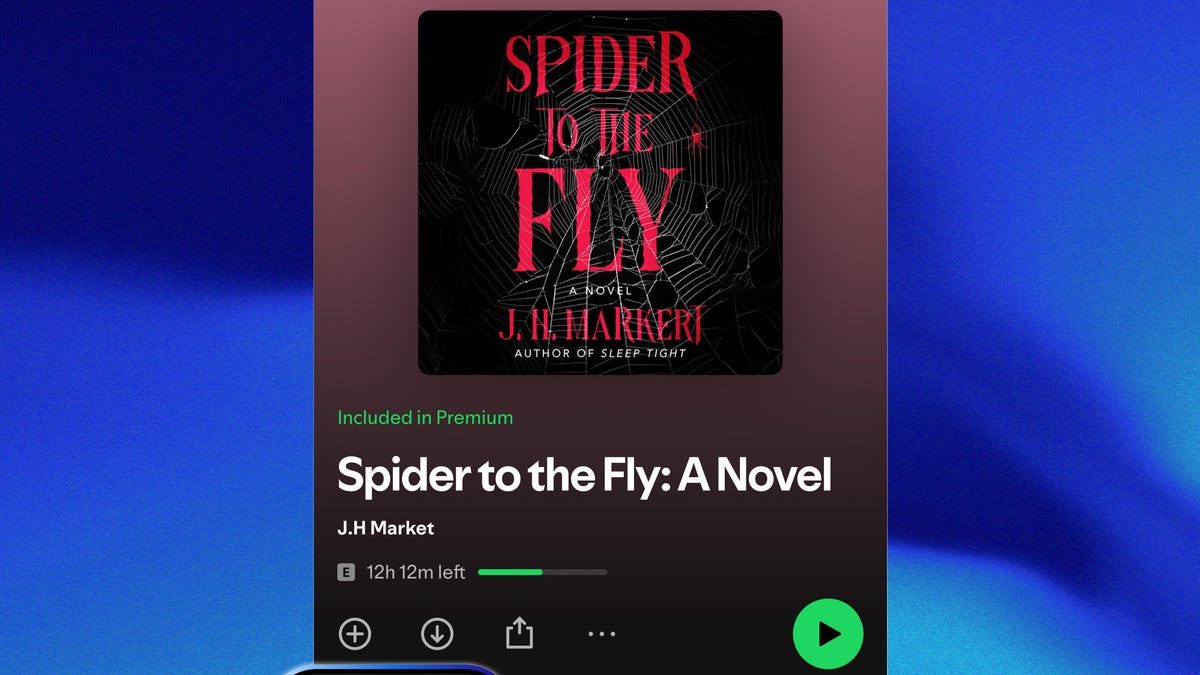 Spotify's Recaps Helps You Return to Started Audiobooks