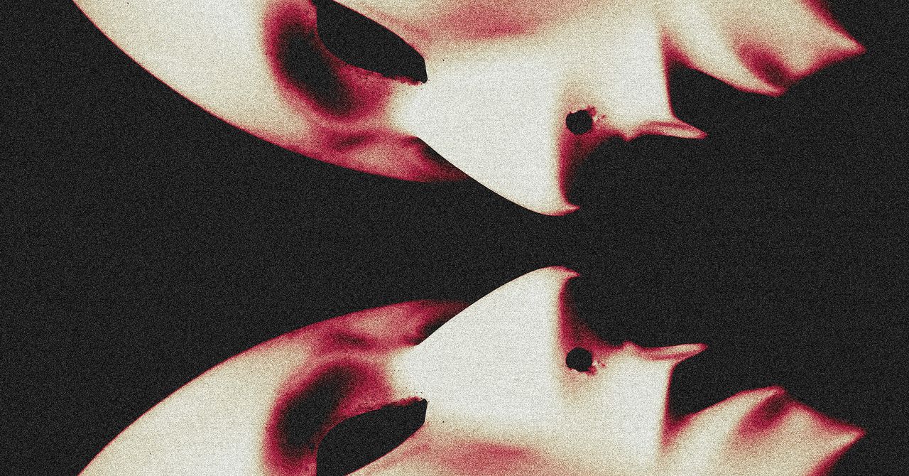 The Ultra-Realistic AI Face Swapping Platform Driving Romance Scams