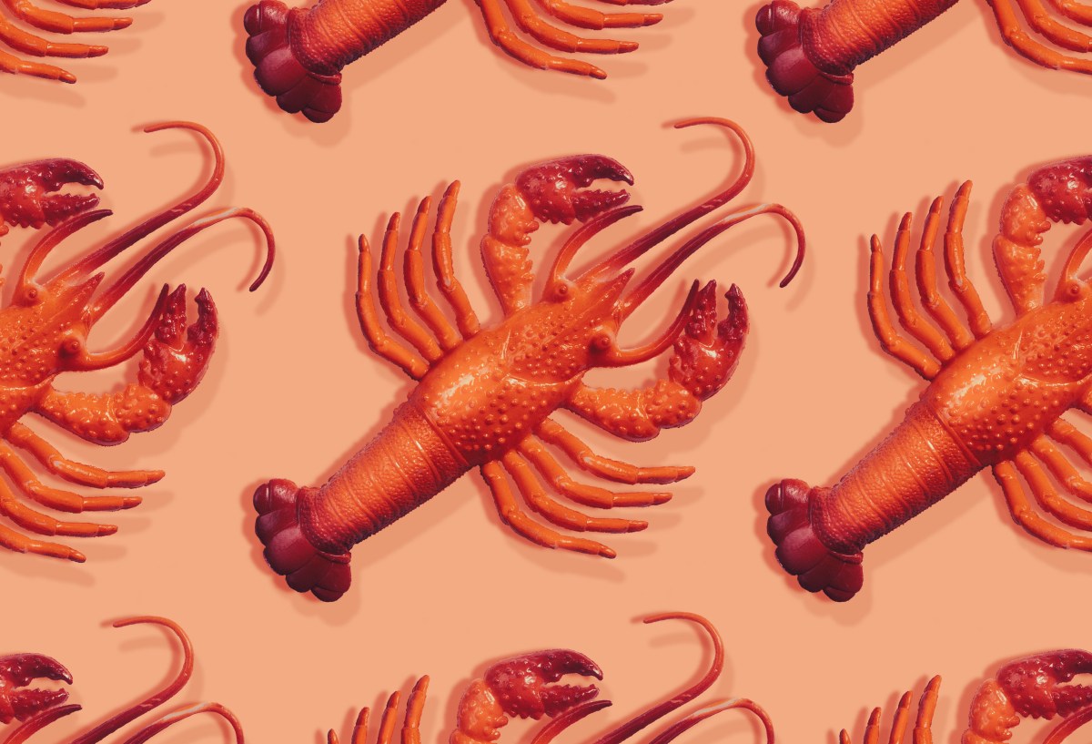 Moltbot Emerges as Open‑Source Personal AI Assistant After Rebranding from Clawdbot