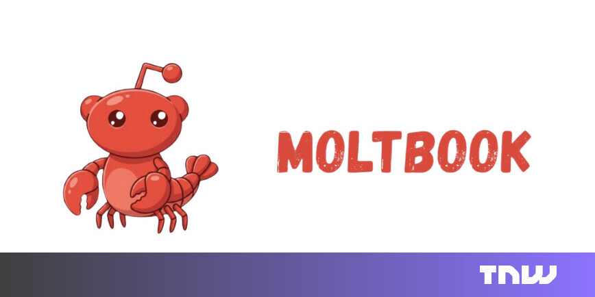 AI Social Network Moltbook Sparks Hype and Security Concerns