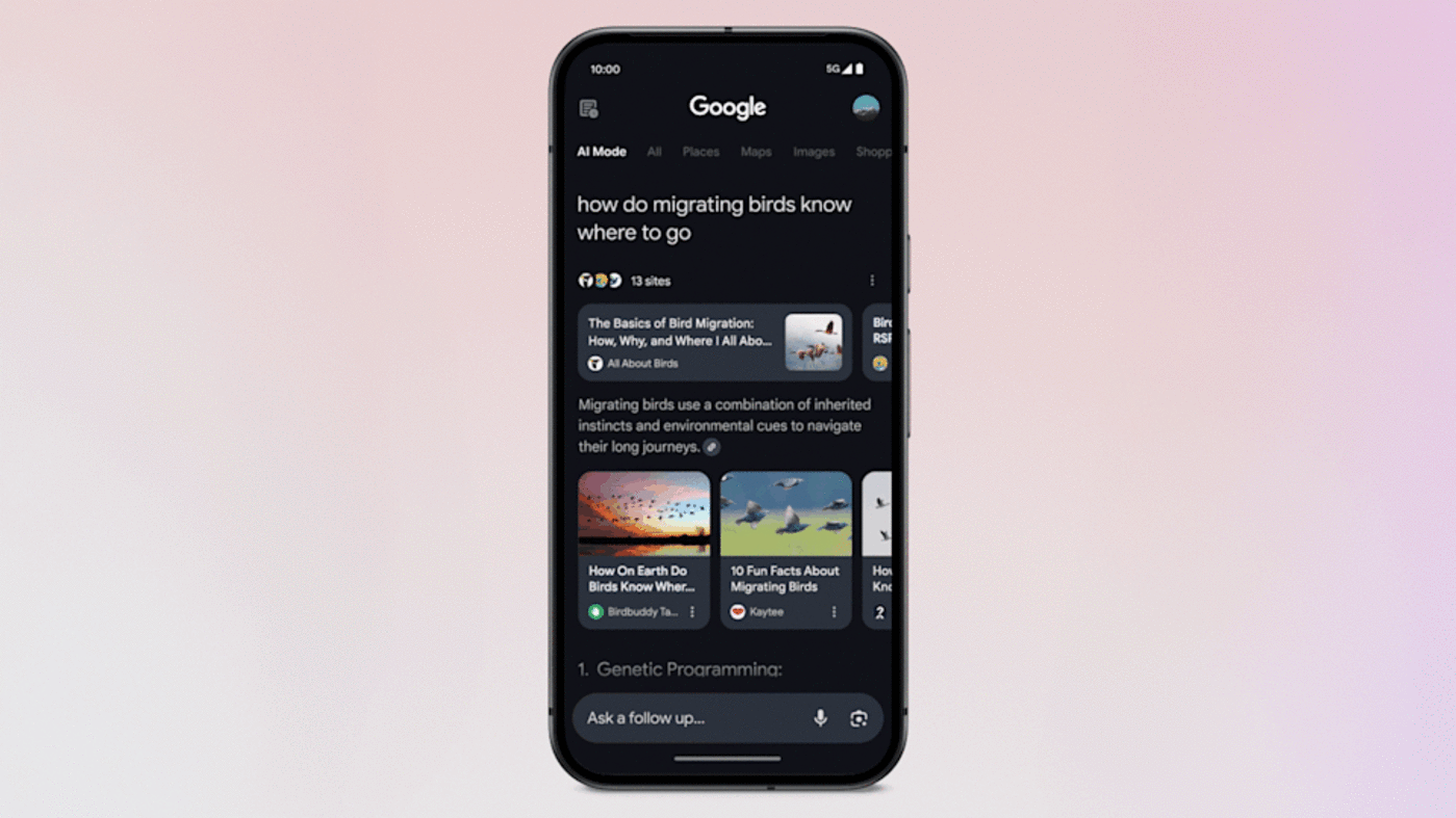 Google AI Search Results: Bird Migration Navigation