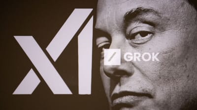 Locai Labs Bans Under‑18 Access and Image Generation, Calls for Industry Honesty Amid UK Probe of Elon Musk’s Grok Images