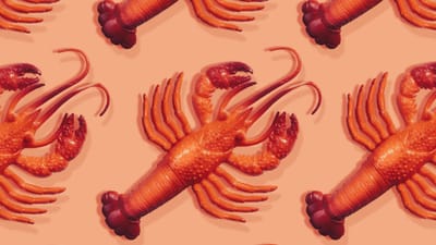 Moltbot Emerges as Open‑Source Personal AI Assistant After Rebranding from Clawdbot