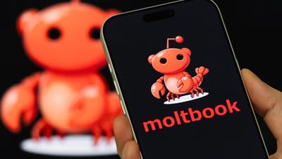 Moltbook: La red social solo para inteligencia artificial que genera expectación y preocupaciones de seguridad