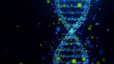 Evo 2: Open‑Source AI Trained on Trillions of DNA Bases Across All Life Domains