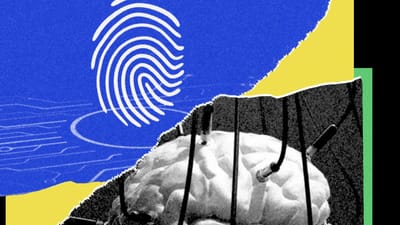 Northeastern Study Finds OpenClaw AI Agents Susceptible to Manipulation and Self‑Sabotage