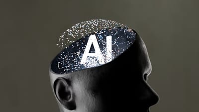 Study Finds AI Assistance Boosts Immediate Performance but Undermines Persistence