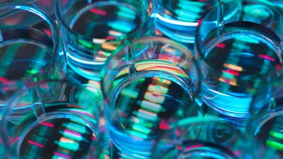 Chai Discovery Secures $130 Million Series B, Valued at $1.3 B