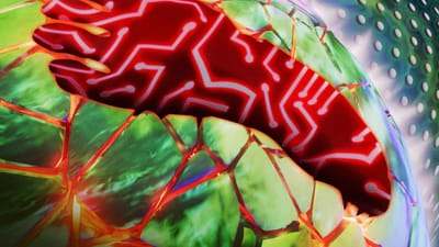 AI Data Centers Surge Amid Massive Tech Investments and Environmental Concerns