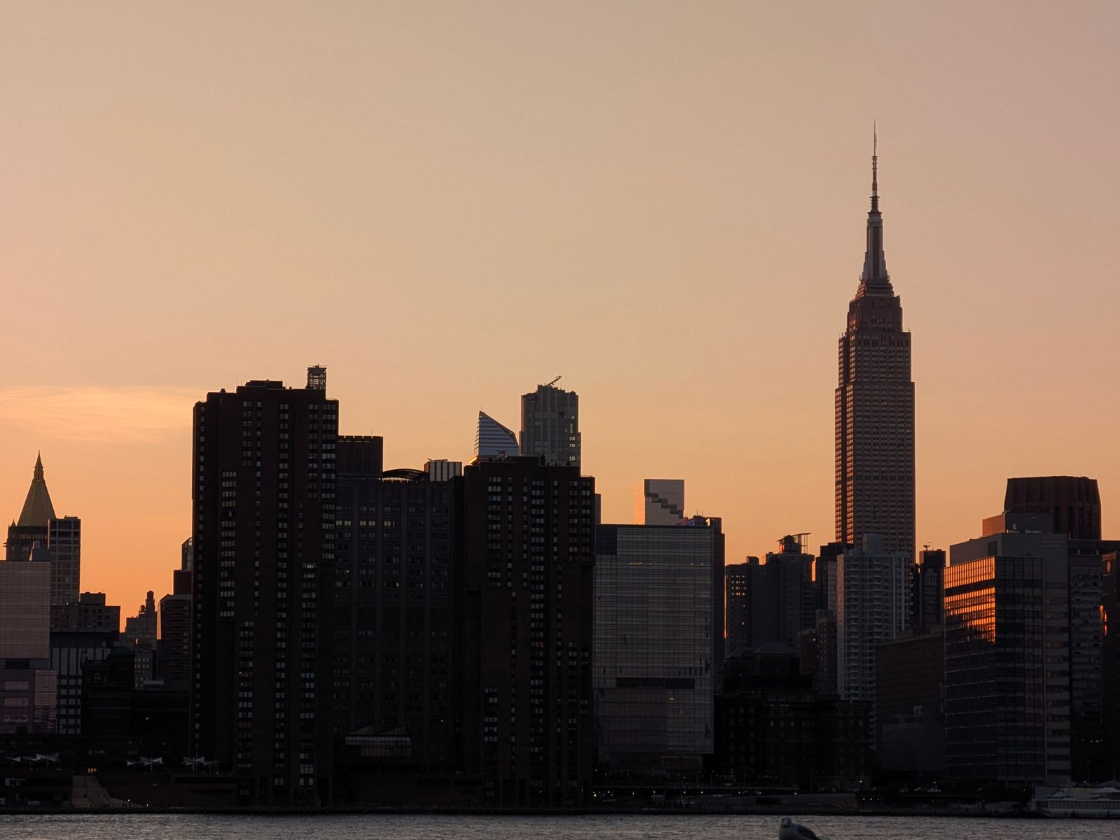Image may contain Architecture Building Tower Landmark Empire State Building Animal and Bird