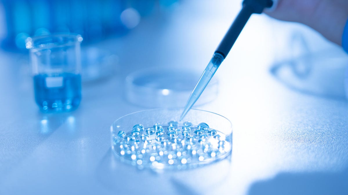 I Used AI to Help Me Navigate IVF. Here's What Experts Think About Using It