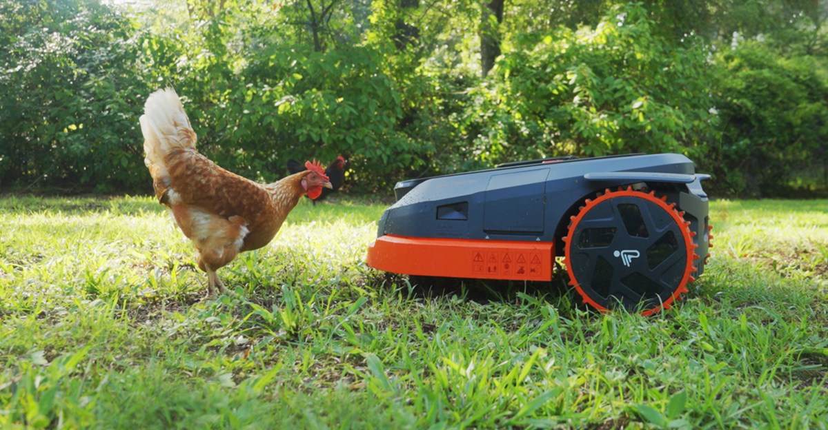 Tour our smart home reviewer’s smart backyard